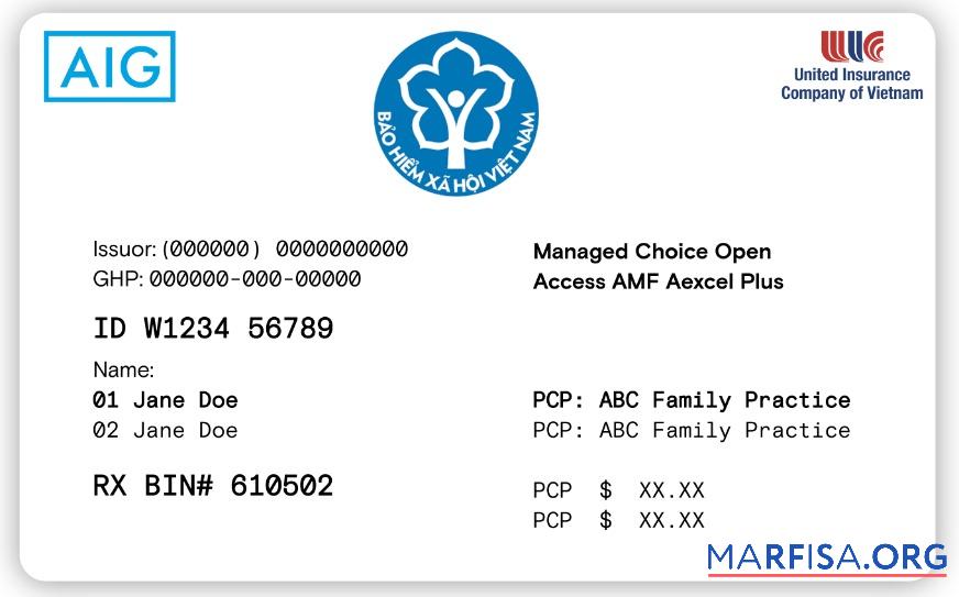 Blank Vietnam health insurance card download for verification